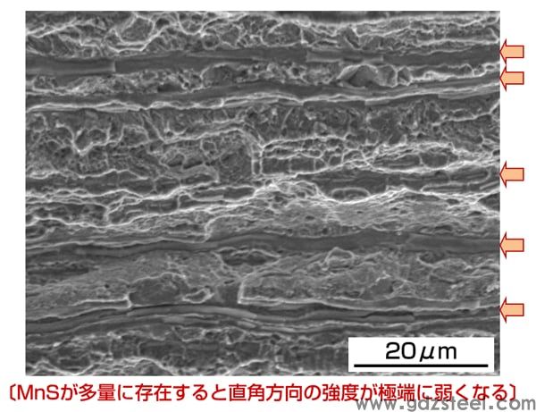 图4 断面大量存在的非金属夹杂物（硫化锰：MnS）