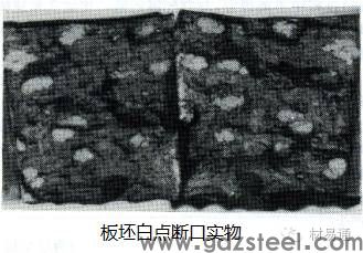 白点缺陷样图