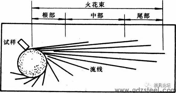 模具钢火花速形态
