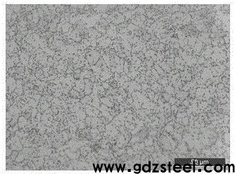马氏体不锈钢1Cr13盘条的退火工艺的制作方法