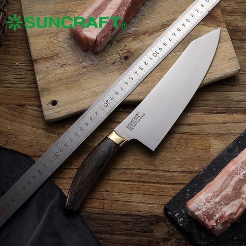 日本sg2粉末钢厨刀排行榜