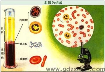 174ph相当于什么材料？