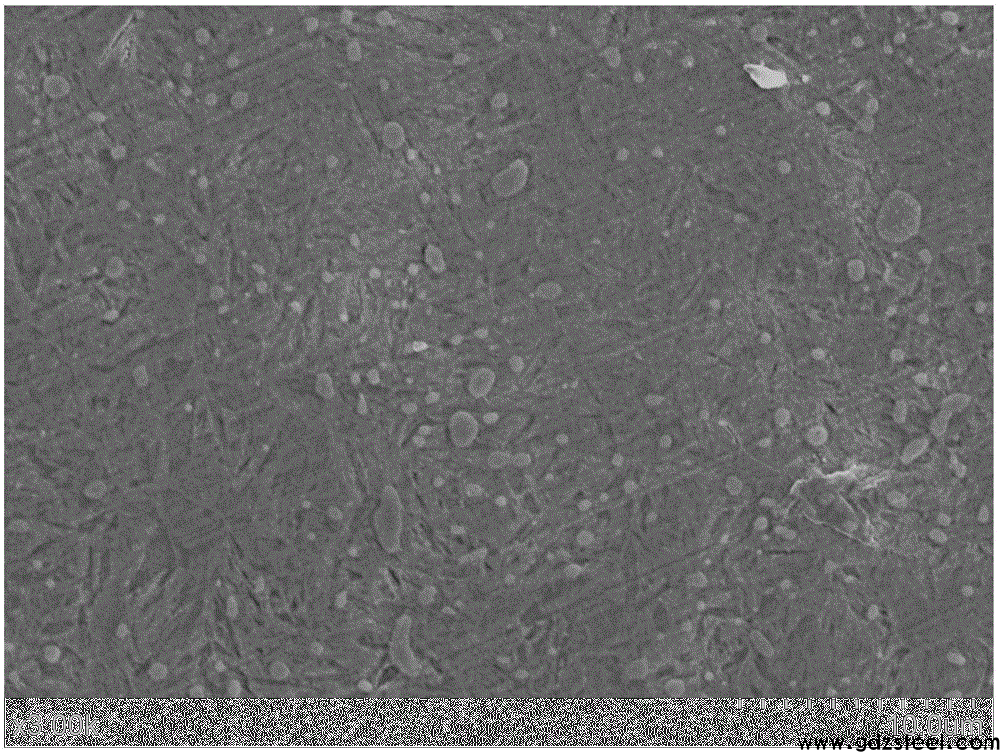 一种提高CrWMn合金钢耐磨性的深冷处理方法与流程